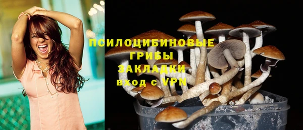 бошки Баксан