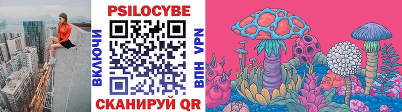 Галлюциногенные грибы Cubensis  сколько стоит  ОМГ ОМГ ONION  Салехард 